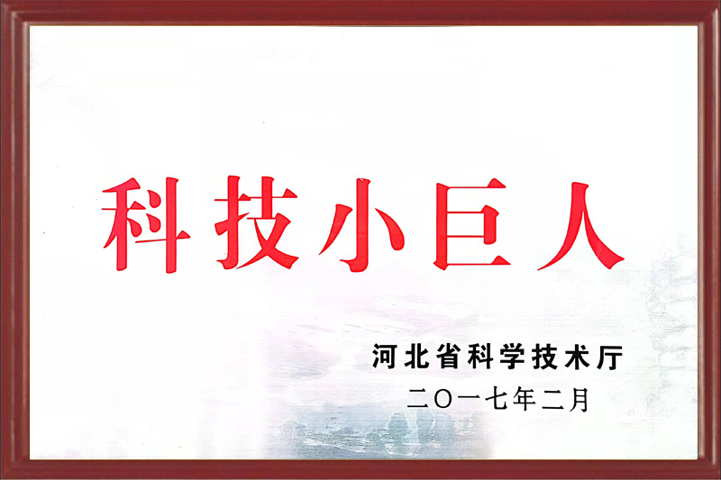科技小巨人